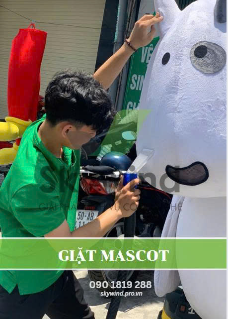 dịch vụ giặt mascot